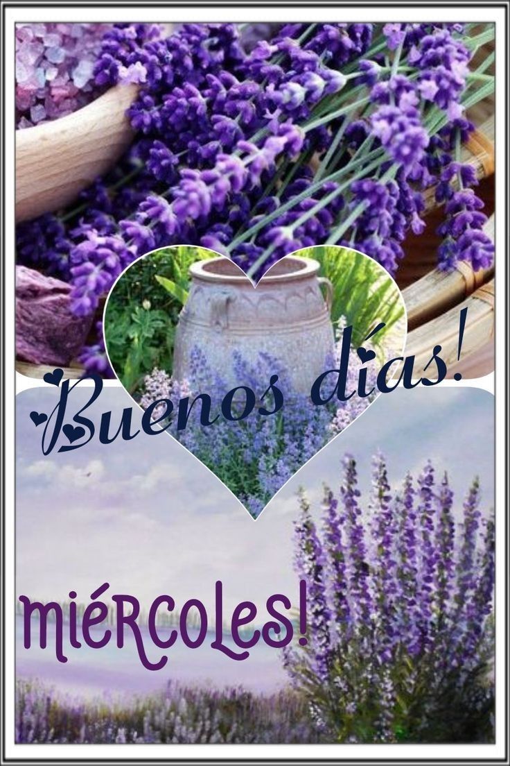 feliz miercoles