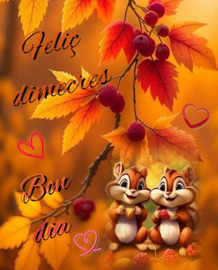 fotos de feliz miercoles