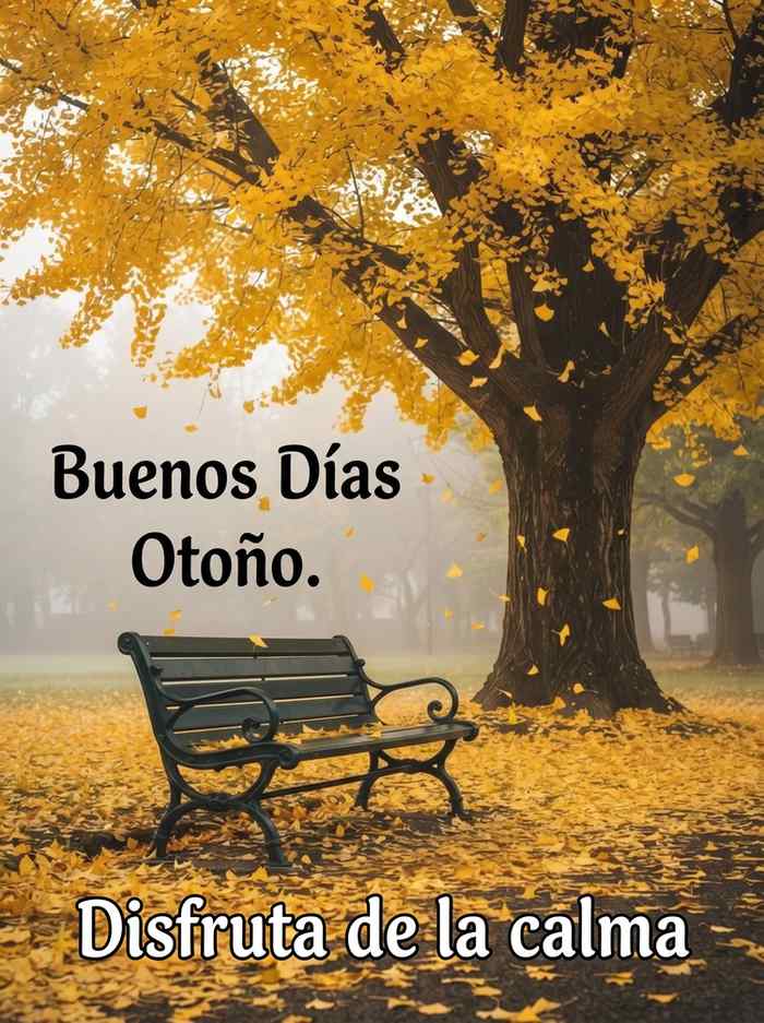 Buenos dias otono banco parque niebla