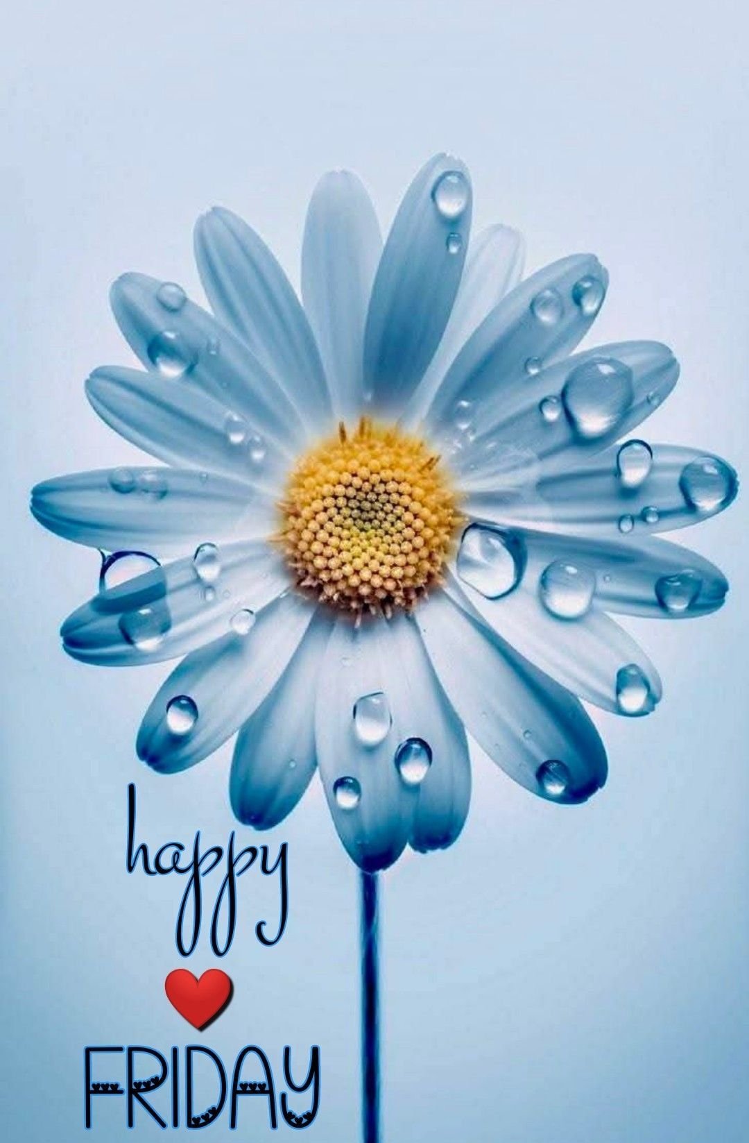 descargar feliz viernes gratis