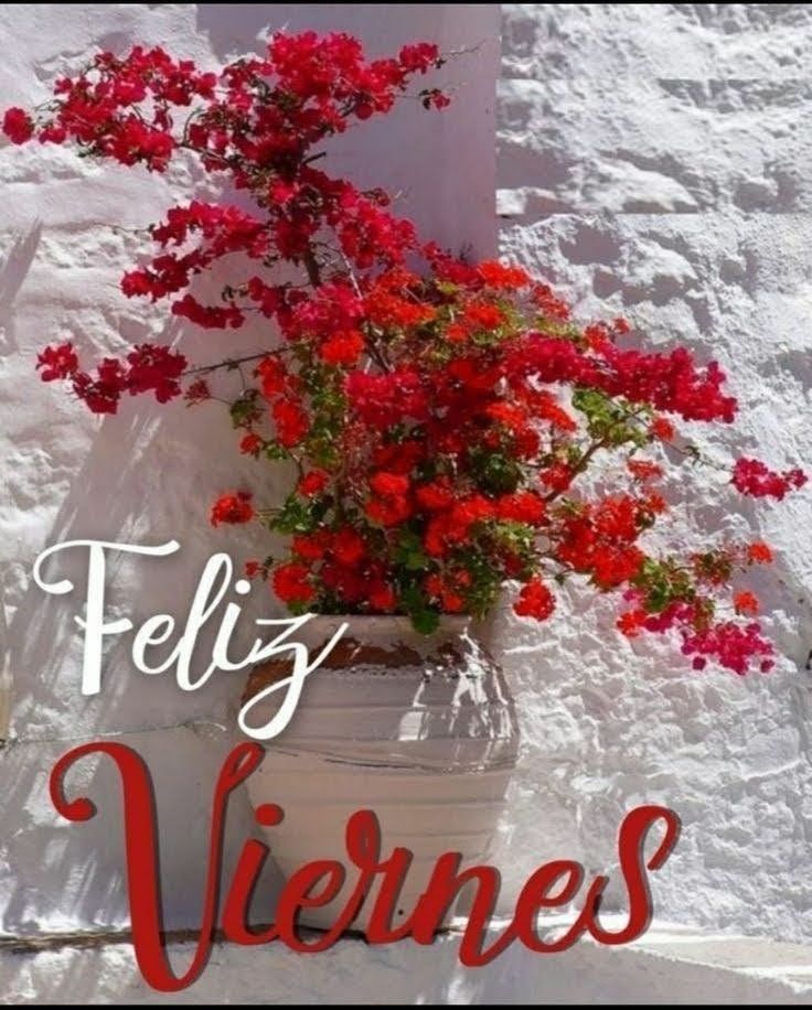 feliz viernes
