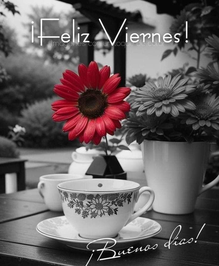 frases de feliz viernes 2