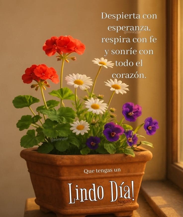 buenos dias whatsapp 36