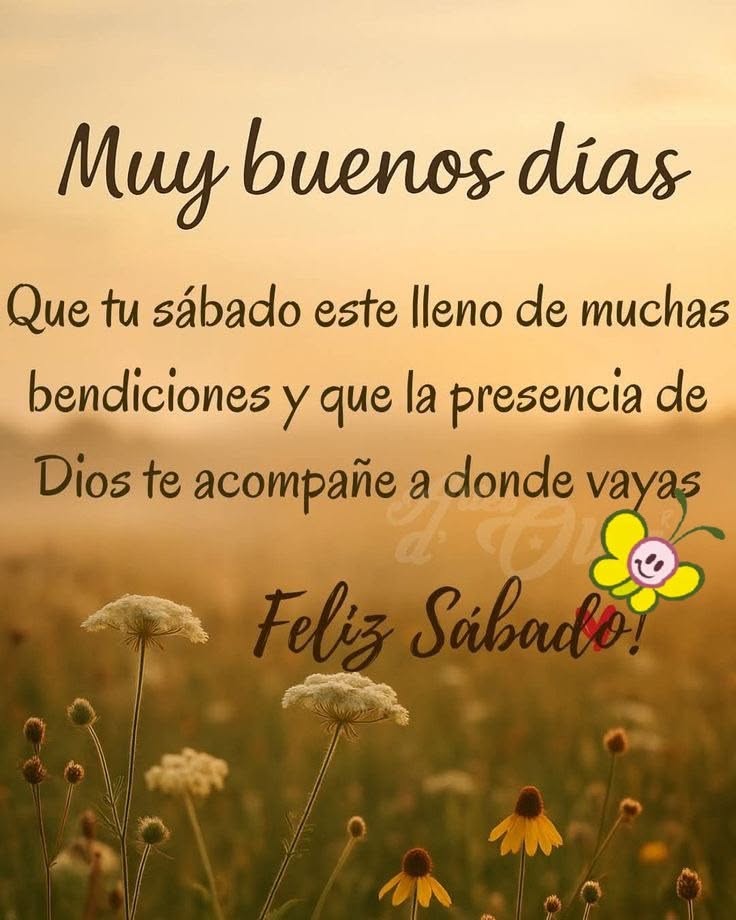 buenos dias whatsapp 37