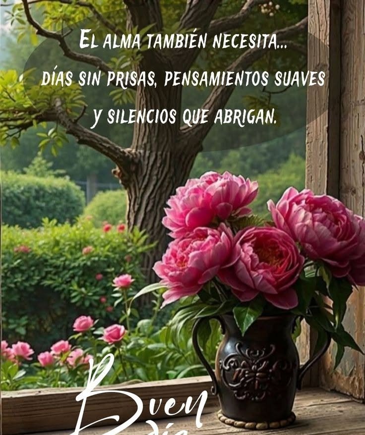 buenos dias whatsapp 47