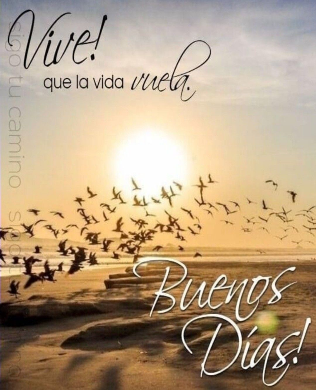buenos dias whatsapp 5