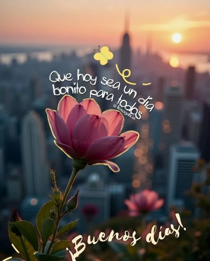 buenos dias whatsapp 50