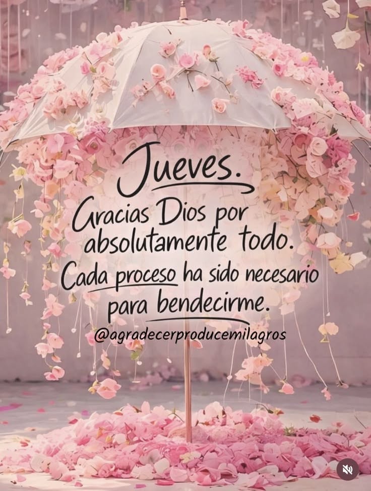buenos dias whatsapp 53