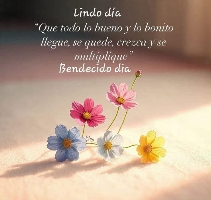 buenos dias whatsapp 8