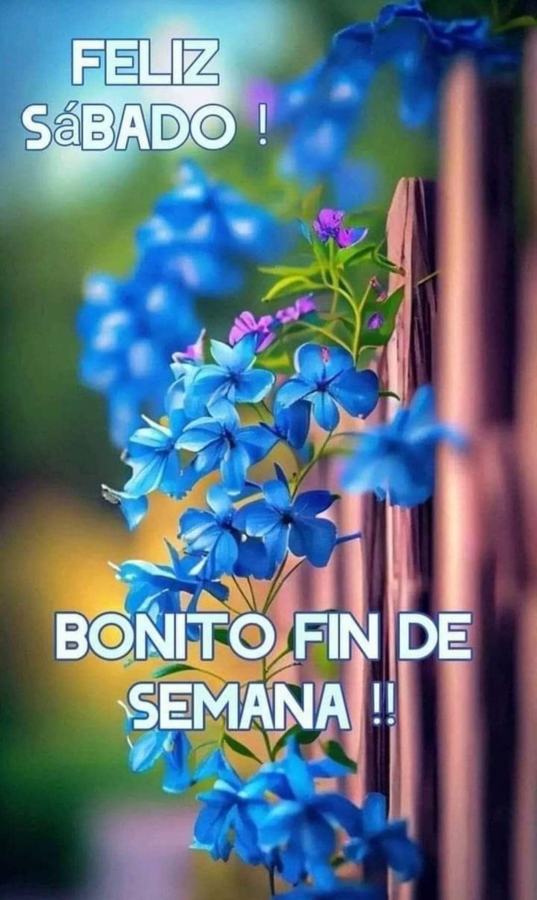 feliz fin de semana grupo 2