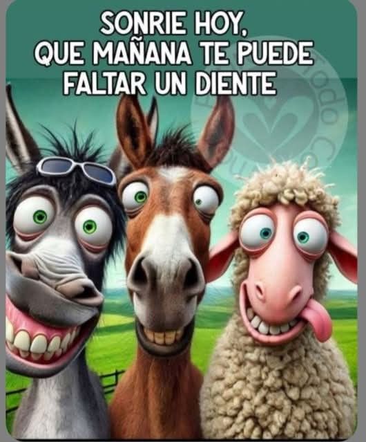 fotos con frases motivadoras 2