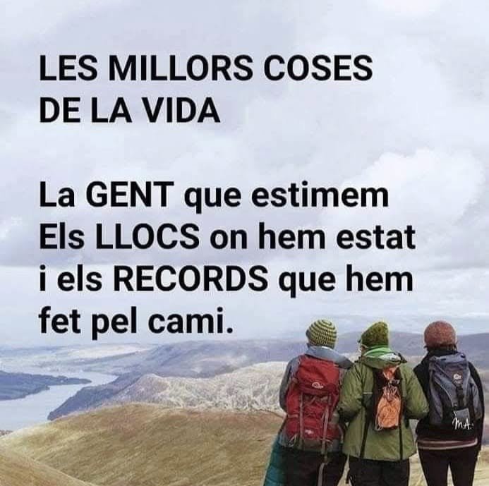 frases motivadoras cortas 1