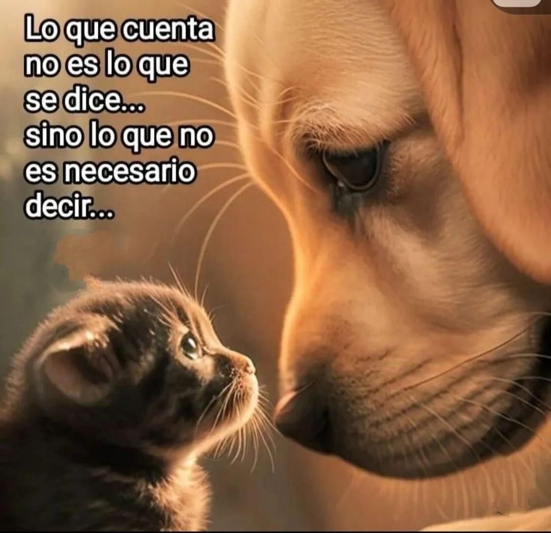frases motivadoras de dios 2