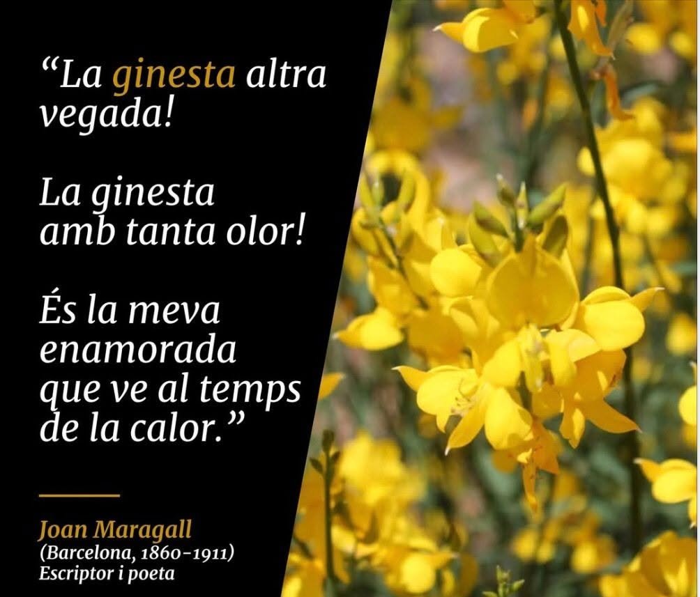 frases motivadoras de exito 1