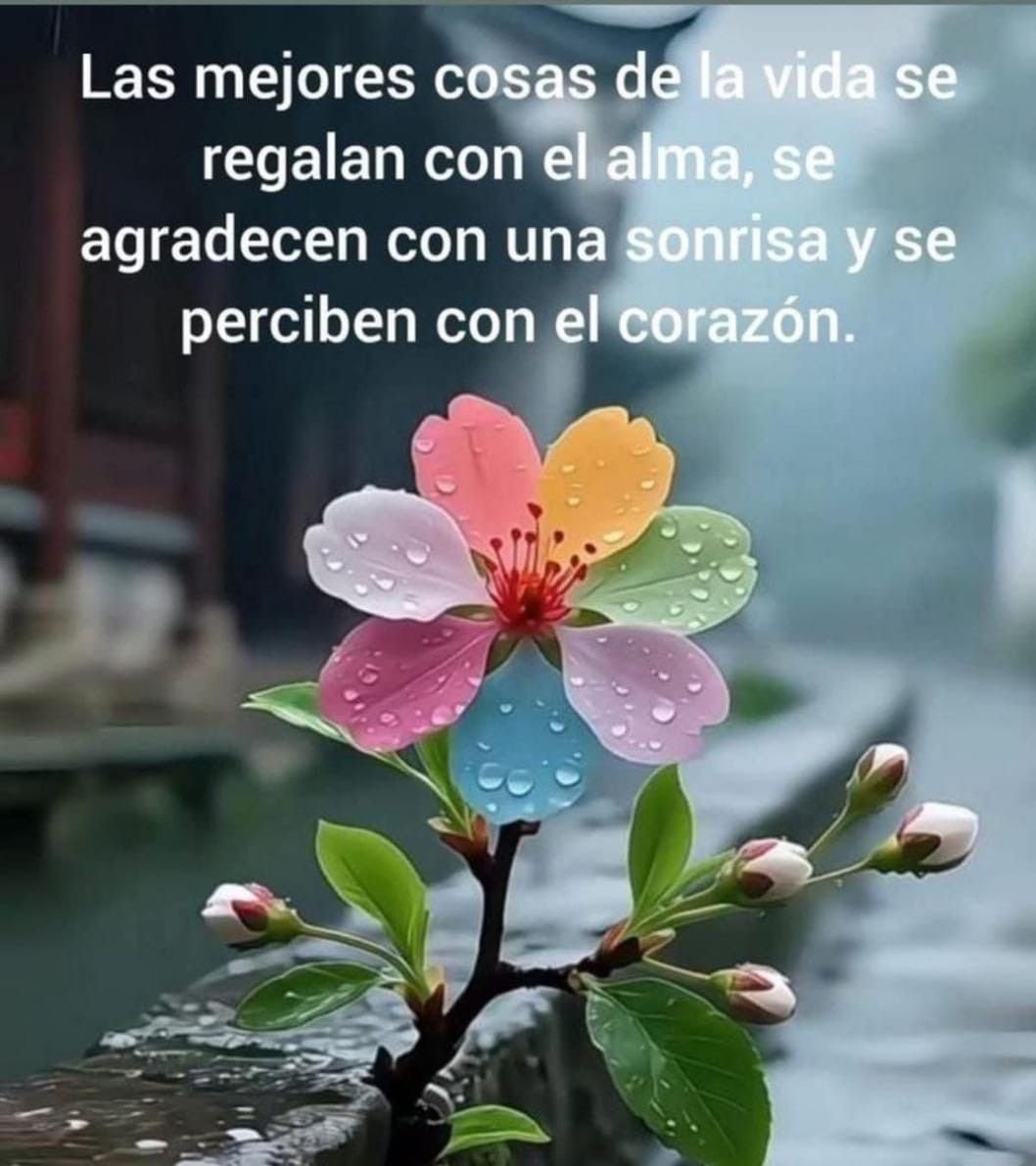 frases motivadoras de vida