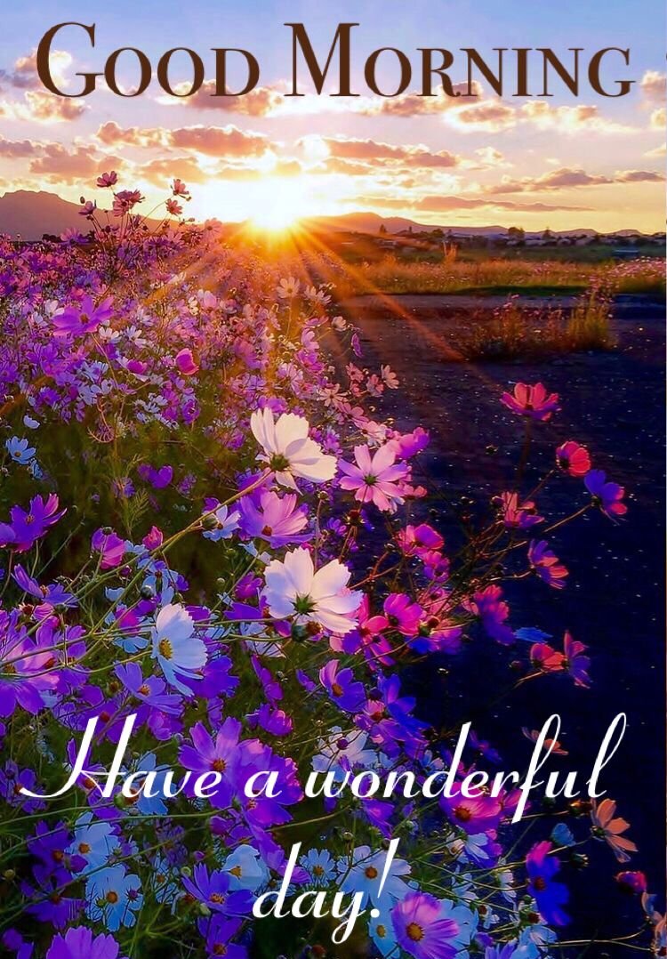 beautiful good morning images 2