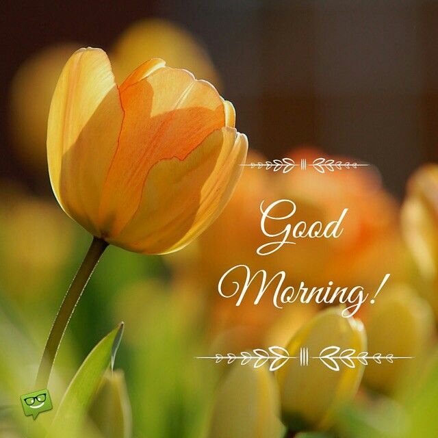 good morning blessings 2
