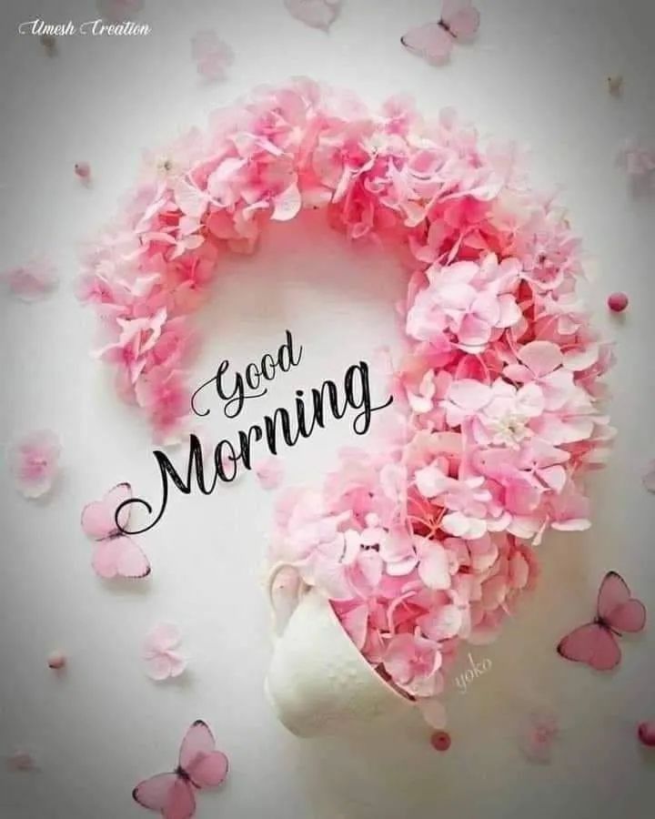 good morning images 2