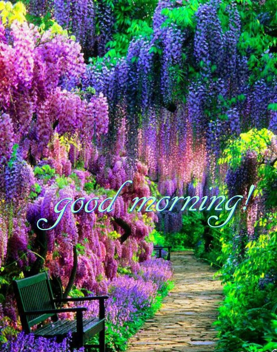 good morning love 2