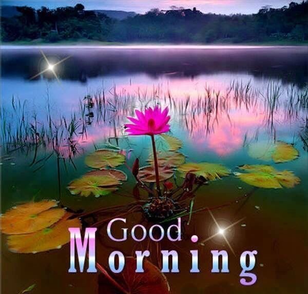 good morning love