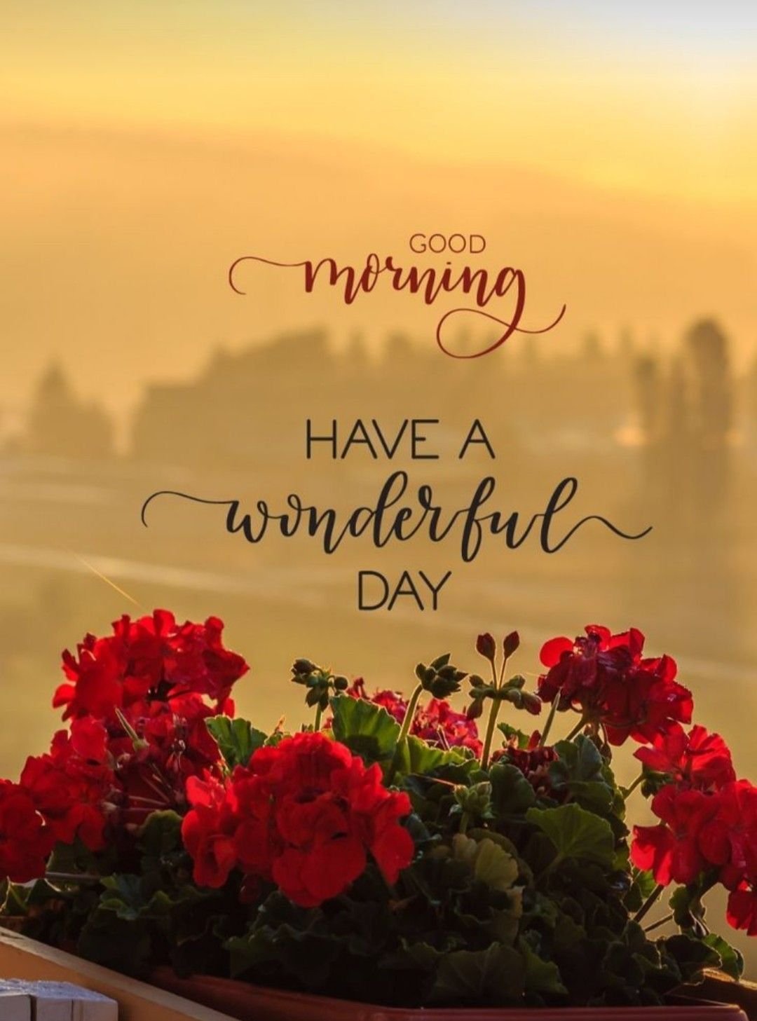 good morning monday 1