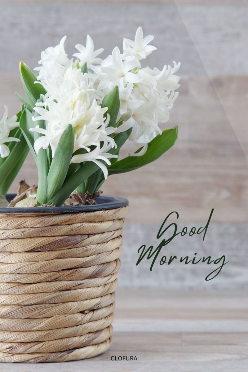 good morning quotes 1
