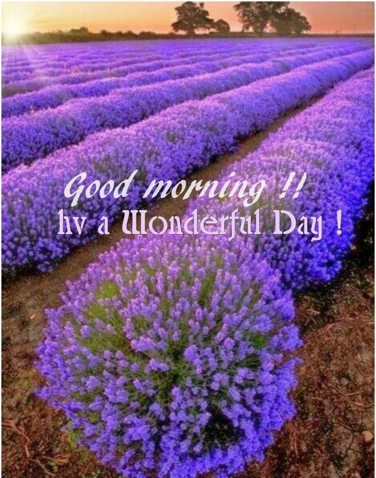 good morning saturday 2