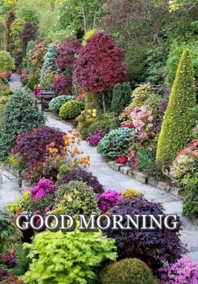 good morning wishes 2