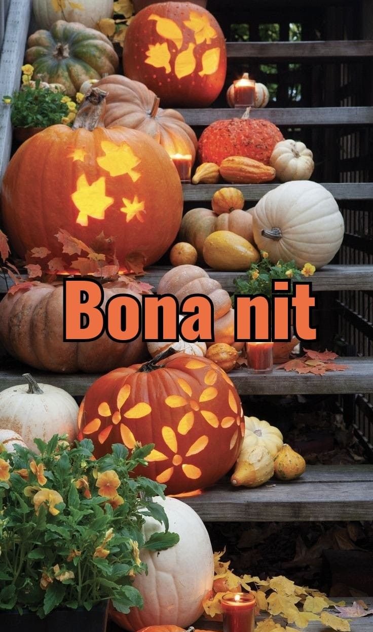 feliz halloween amor