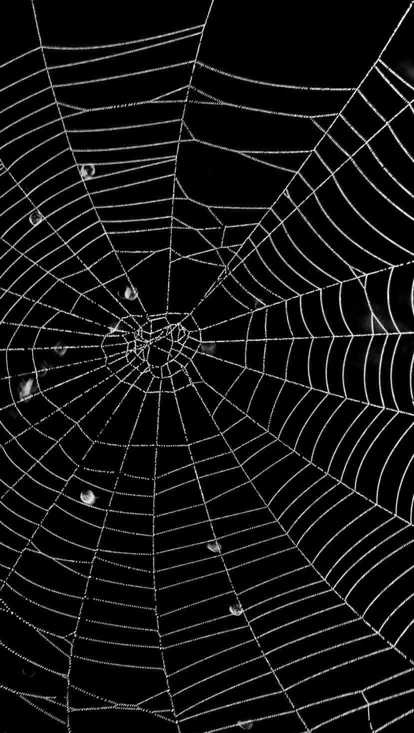 feliz halloween divertido 1