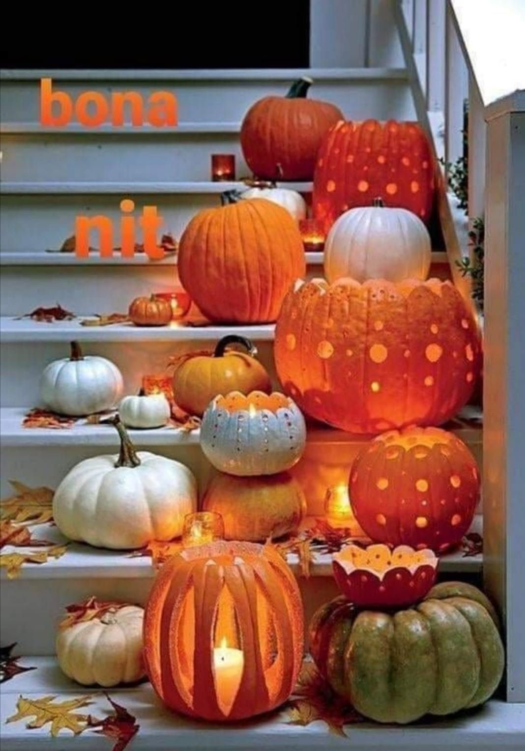 feliz halloween divertido